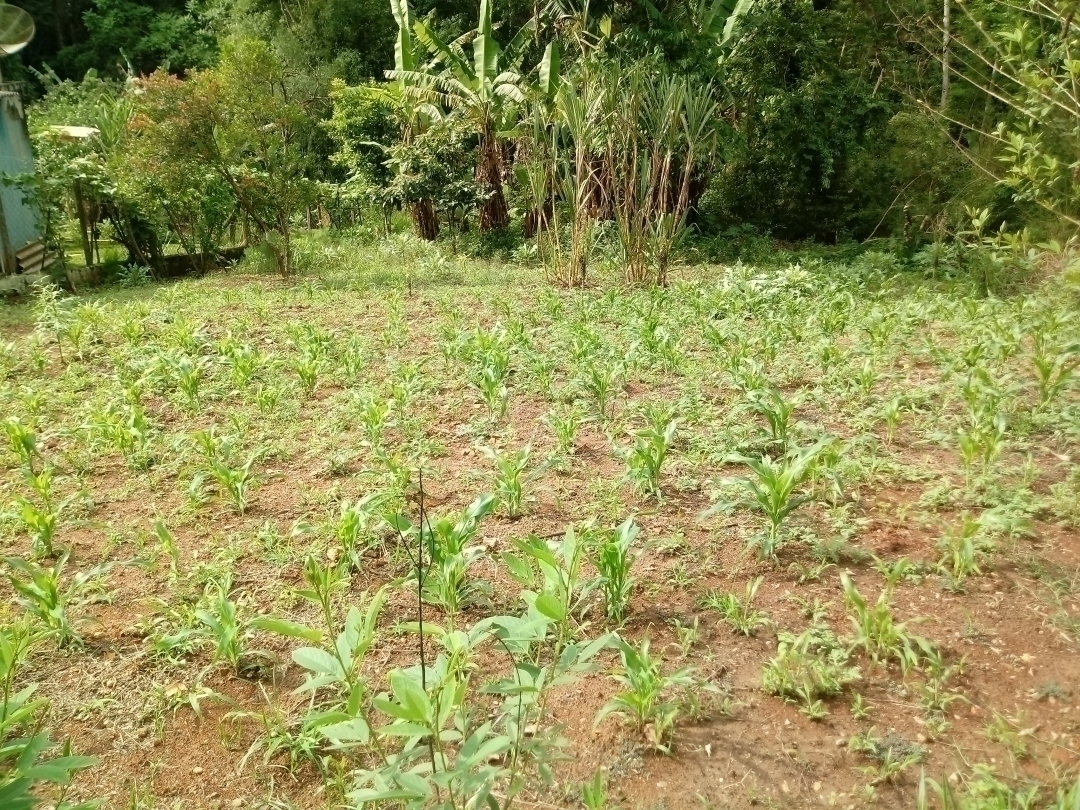 #0858 - Terreno para Venda em Mairiporã - SP