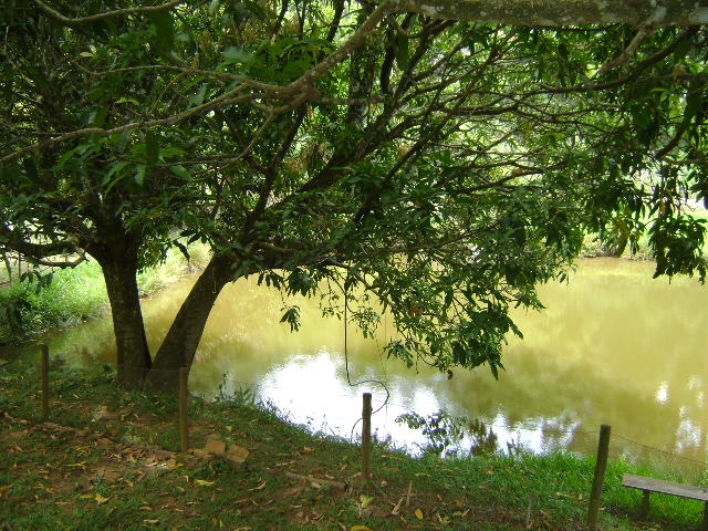 Chácara em Bragança Paulista/São Paulo — Ref DOL26O — Imagem 23