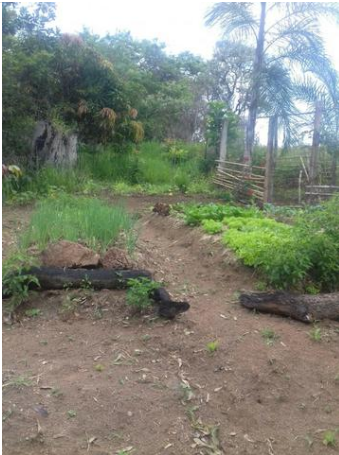 Chácara em Atibaia/São Paulo — Ref 6BIDTH — Imagem 16