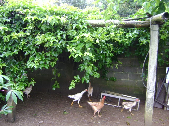 Chácara em Atibaia/São Paulo — Ref 2B3890 — Imagem 16