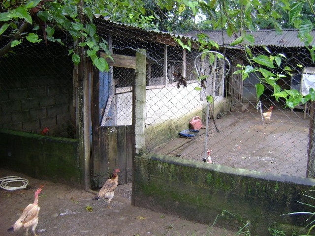 Chácara em Atibaia/São Paulo — Ref 2B3890 — Imagem 14