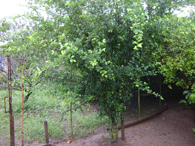 Chácara em Atibaia/São Paulo — Ref 2B3890 — Imagem 19