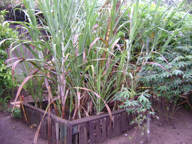 Chácara em Atibaia/São Paulo — Ref 2B3890 — Imagem 13