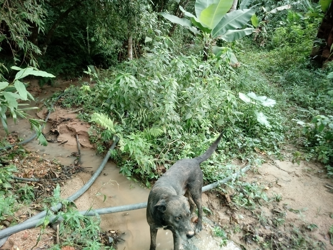 Chácara em Mairiporã/São Paulo — Ref MU4XFO — Imagem 35
