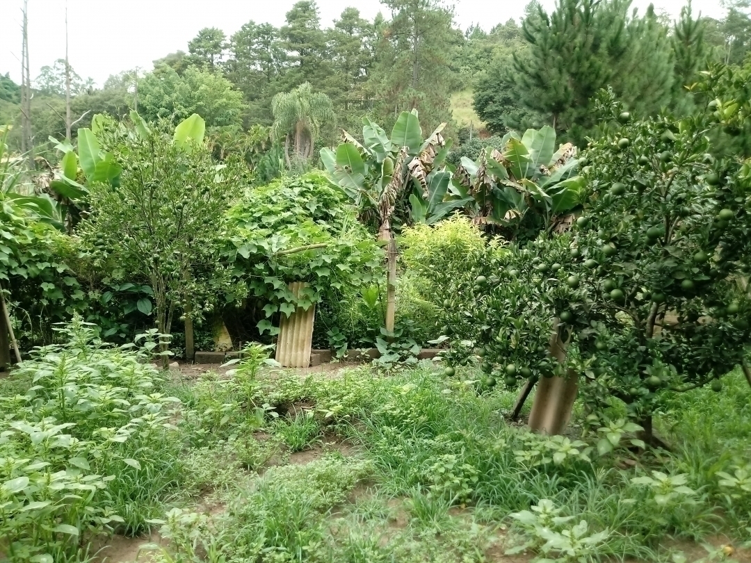 Chácara em Mairiporã/São Paulo — Ref MU4XFO — Imagem 22