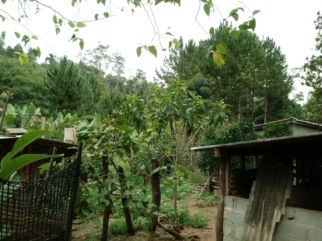 Chácara em Mairiporã/São Paulo — Ref MU4XFO — Imagem 36