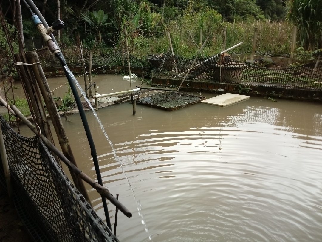Chácara em Mairiporã/São Paulo — Ref MU4XFO — Imagem 27