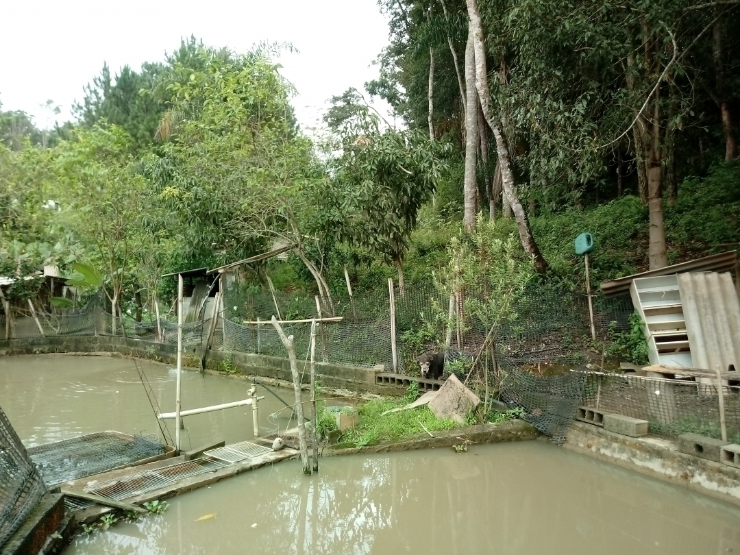 Chácara em Mairiporã/São Paulo — Ref MU4XFO — Imagem 32
