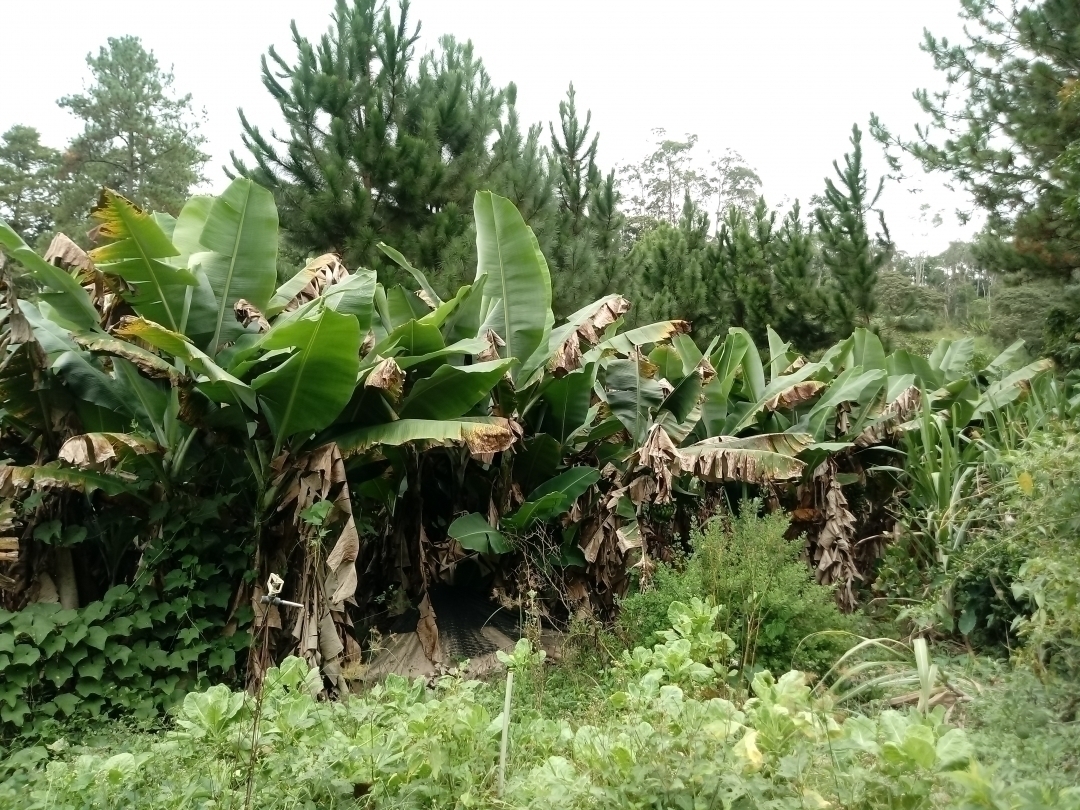 Chácara em Mairiporã/São Paulo — Ref MU4XFO — Imagem 39