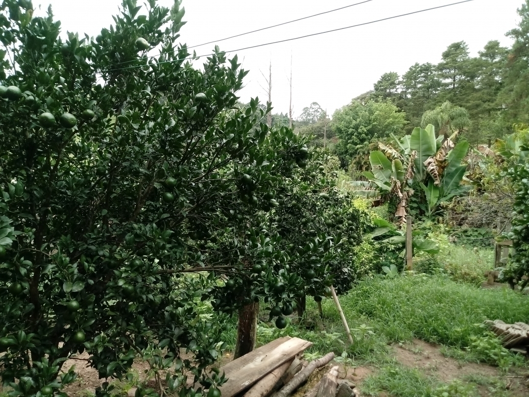 Chácara em Mairiporã/São Paulo — Ref MU4XFO — Imagem 21