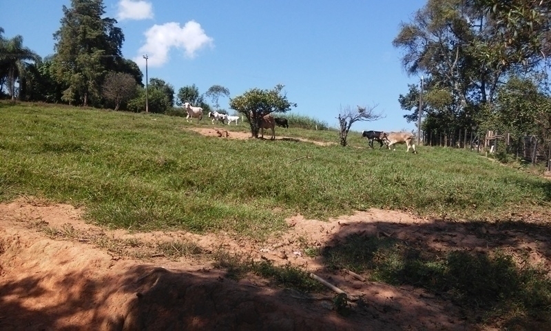 #1274 - Sítio para Venda em Piracaia - SP