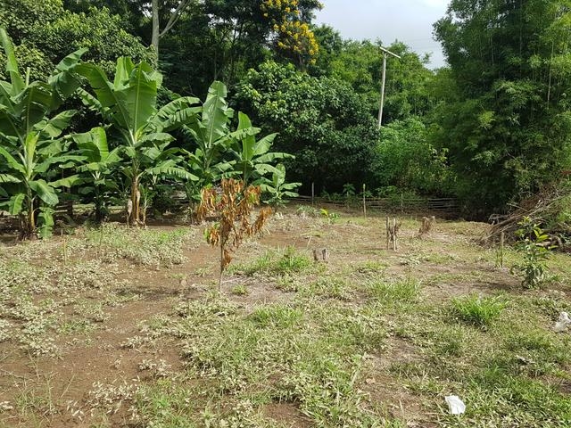 Chácara em Piracaia/São Paulo — Ref WSX4UL — Imagem 3