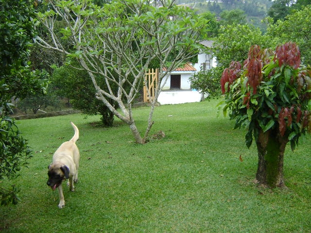 Chácara em Mairiporã/São Paulo — Ref 34JNRN — Imagem 40