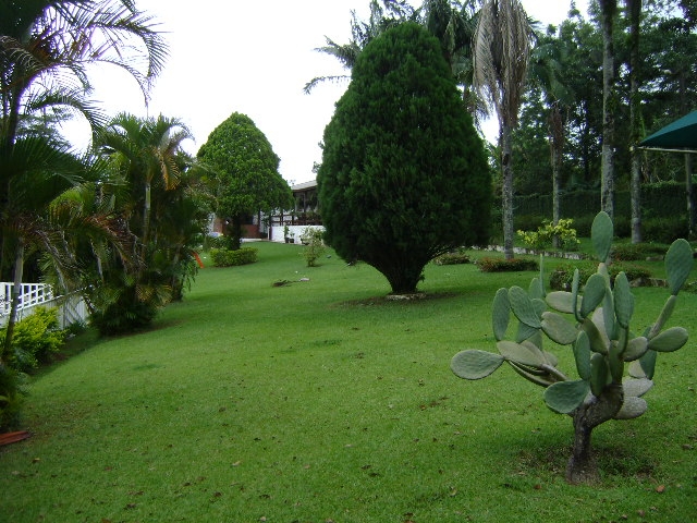 Chácara em Mairiporã/São Paulo — Ref 34JNRN — Imagem 23