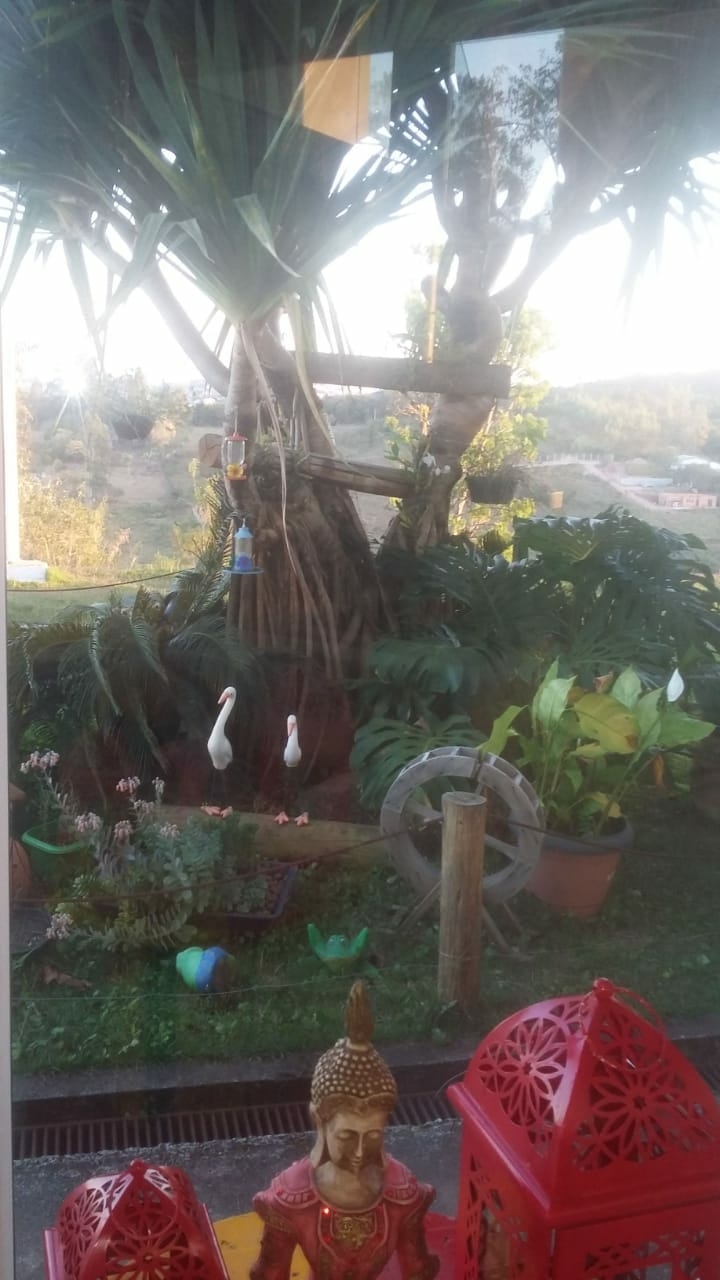 Chácara em Jarinu/São Paulo — Ref YOGDU1 — Imagem 15