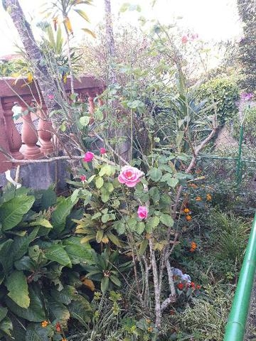 Chácara em Atibaia/São Paulo — Ref SFBBM6 — Imagem 7