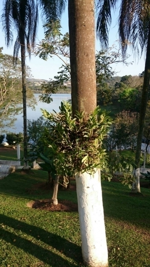 Chácara em Mairiporã/São Paulo — Ref MYV0P5 — Imagem 12