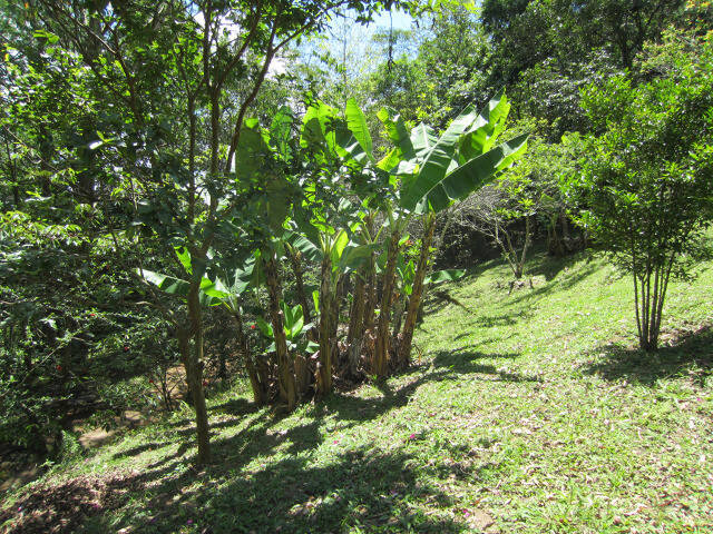 Chácara em Atibaia/São Paulo — Ref 73N4RP — Imagem 10