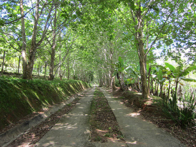 Chácara em Atibaia/São Paulo — Ref 73N4RP — Imagem 12