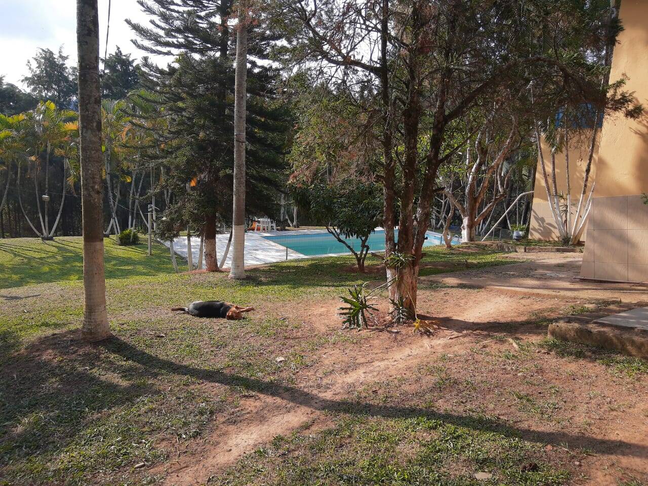 #1549 - Sítio para Venda em Atibaia - SP