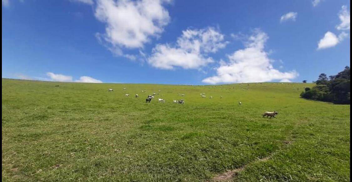 #0013 - Fazenda para Venda em Piracaia - SP