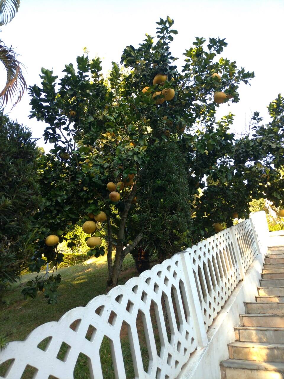 Chácara em Nazaré Paulista/São Paulo — Ref D7CWA4 — Imagem 9