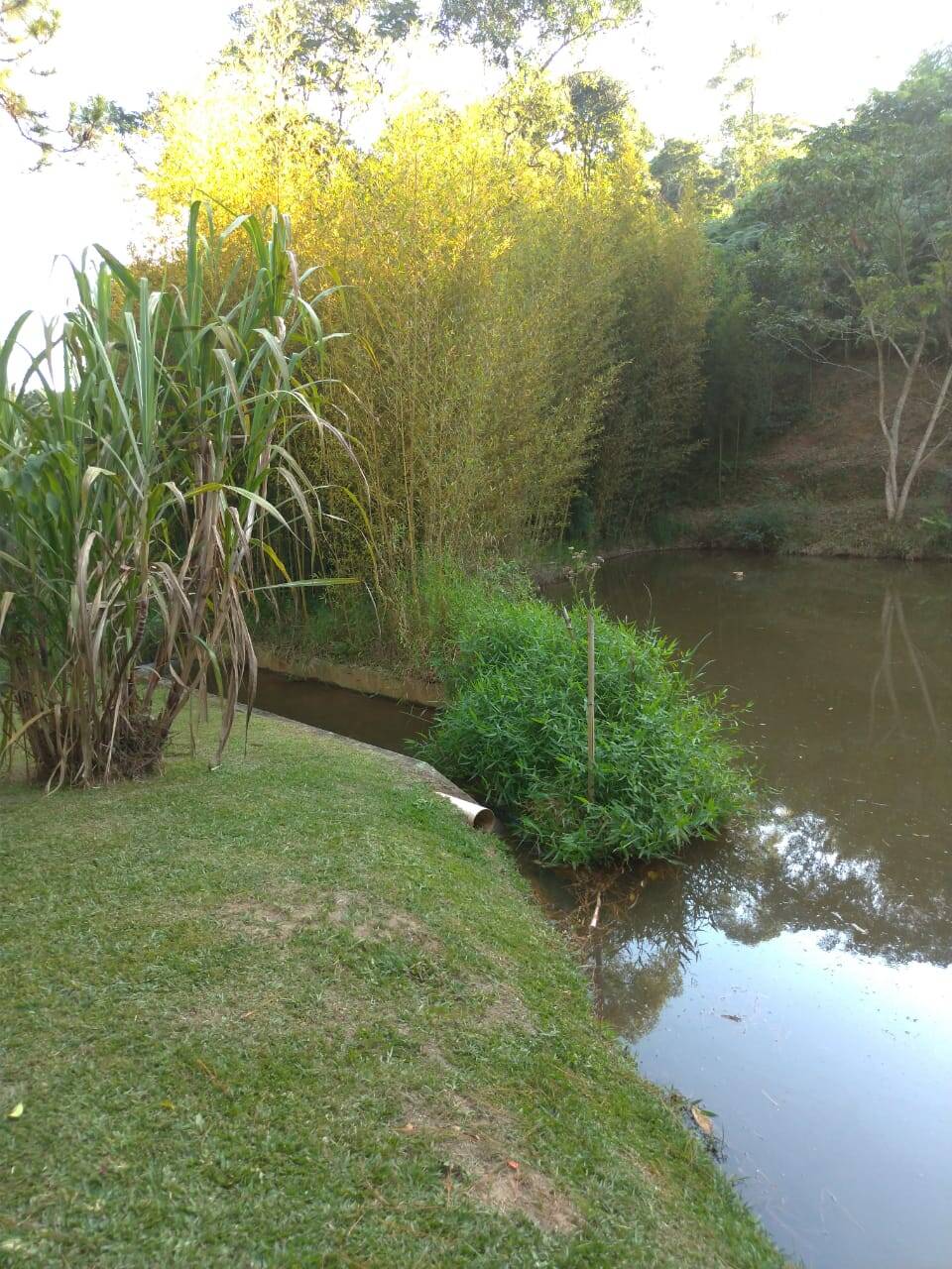 Chácara em Nazaré Paulista/São Paulo — Ref D7CWA4 — Imagem 14