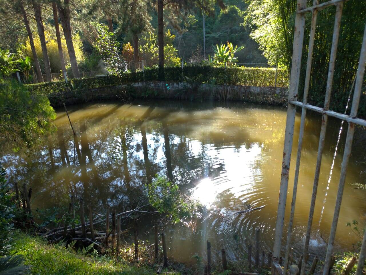 Chácara em Nazaré Paulista/São Paulo — Ref D7CWA4 — Imagem 3