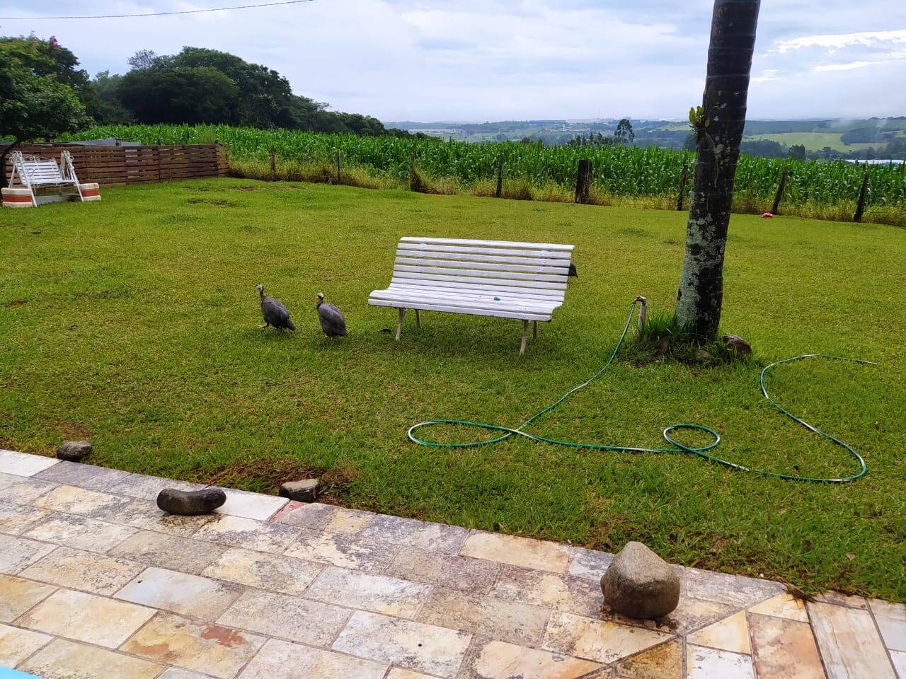 Sítio em Atibaia/São Paulo — Ref XOJ1OQ — Imagem 8