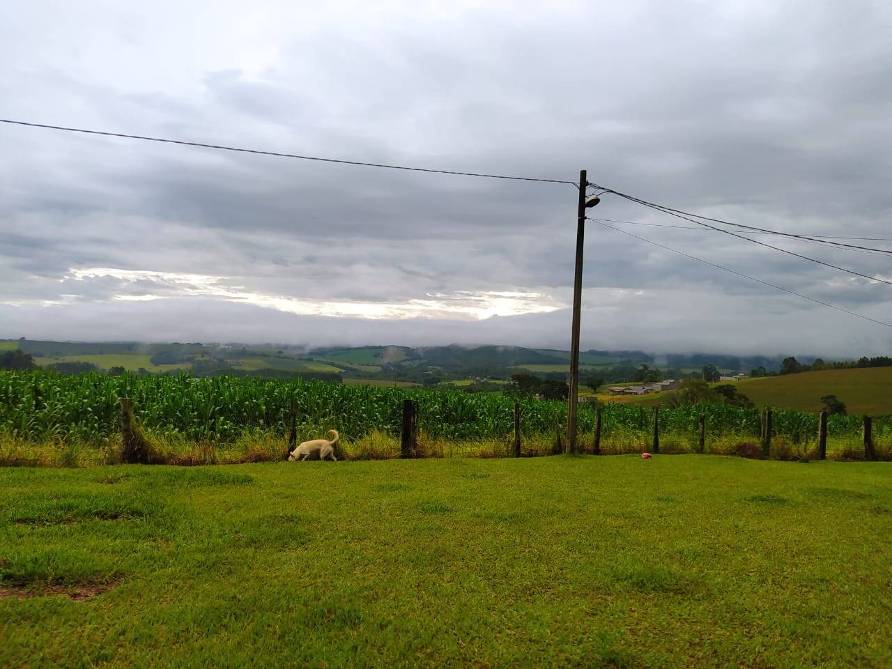 Sítio em Atibaia/São Paulo — Ref XOJ1OQ — Imagem 4