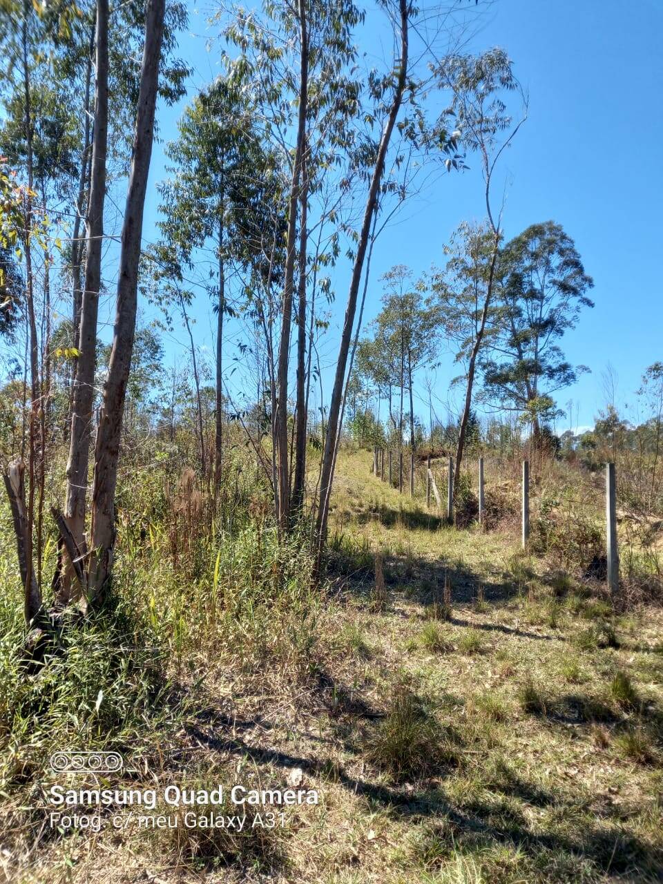 Sítio em Mairiporã/São Paulo — Ref 0QLPK0 — Imagem 11