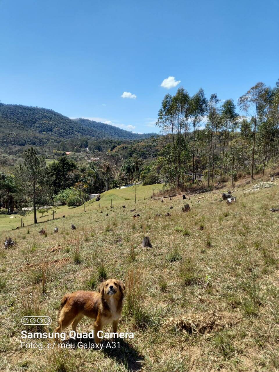 Sítio em Mairiporã/São Paulo — Ref 0QLPK0 — Imagem 19