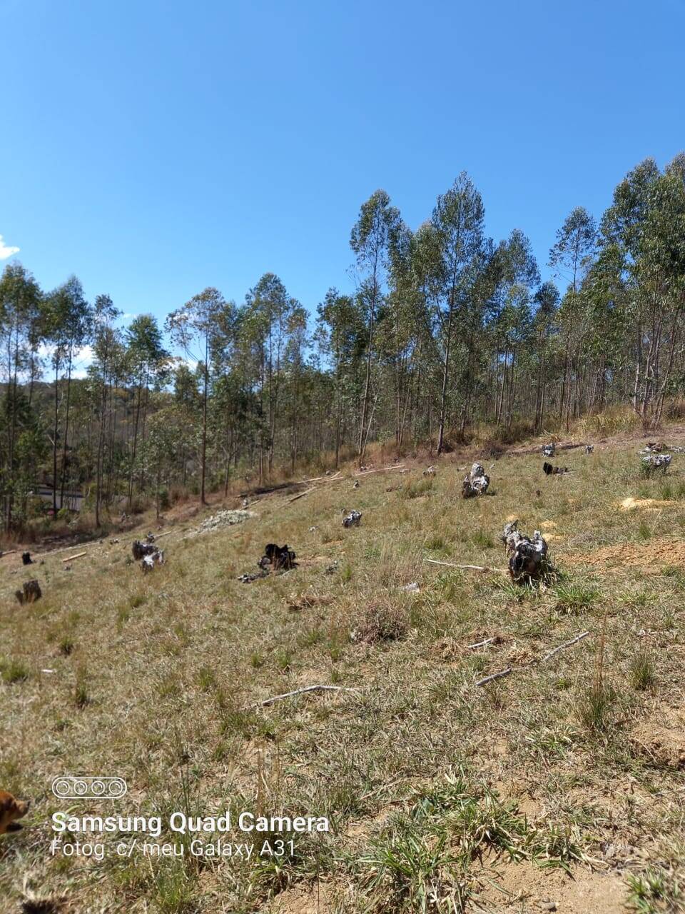 Sítio em Mairiporã/São Paulo — Ref 0QLPK0 — Imagem 40
