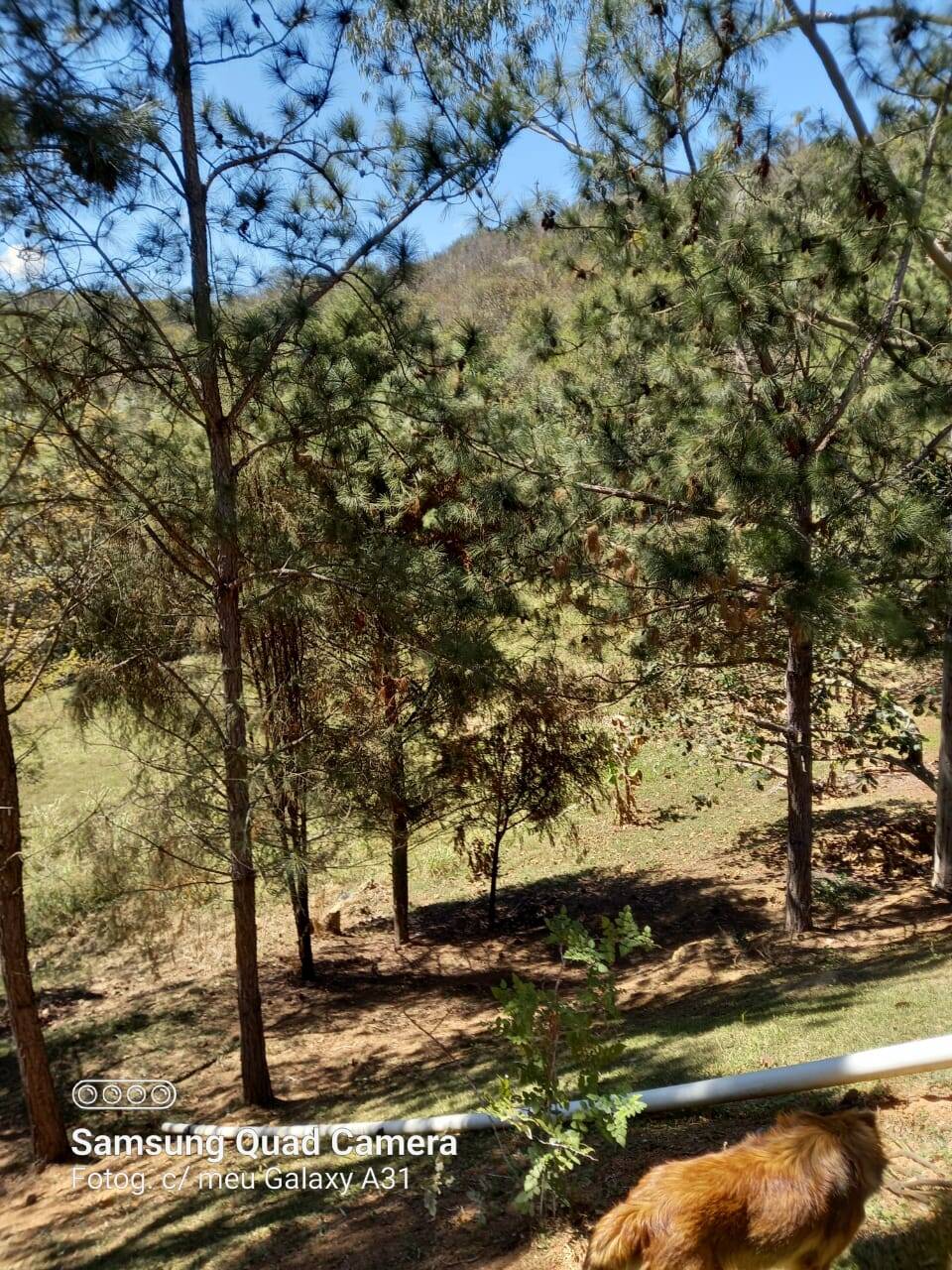 Sítio em Mairiporã/São Paulo — Ref 0QLPK0 — Imagem 50