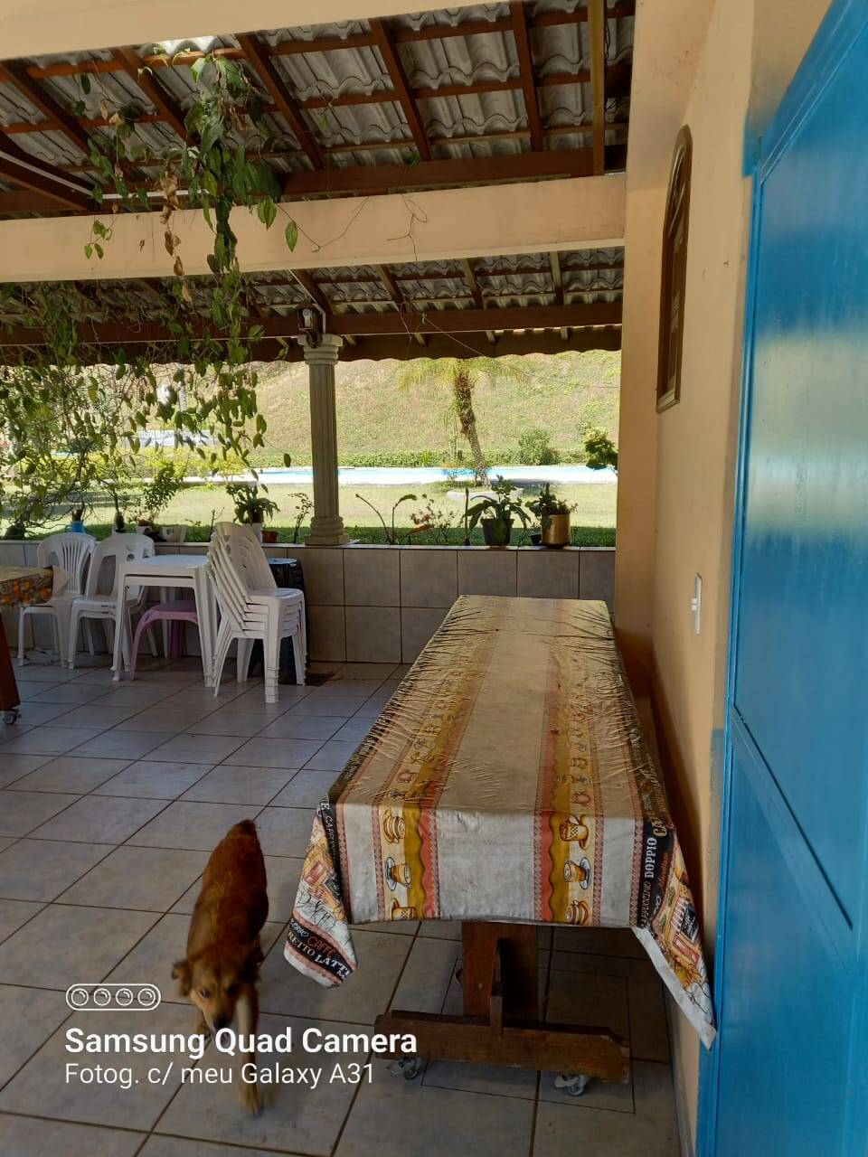 Sítio em Mairiporã/São Paulo — Ref 0QLPK0 — Imagem 57