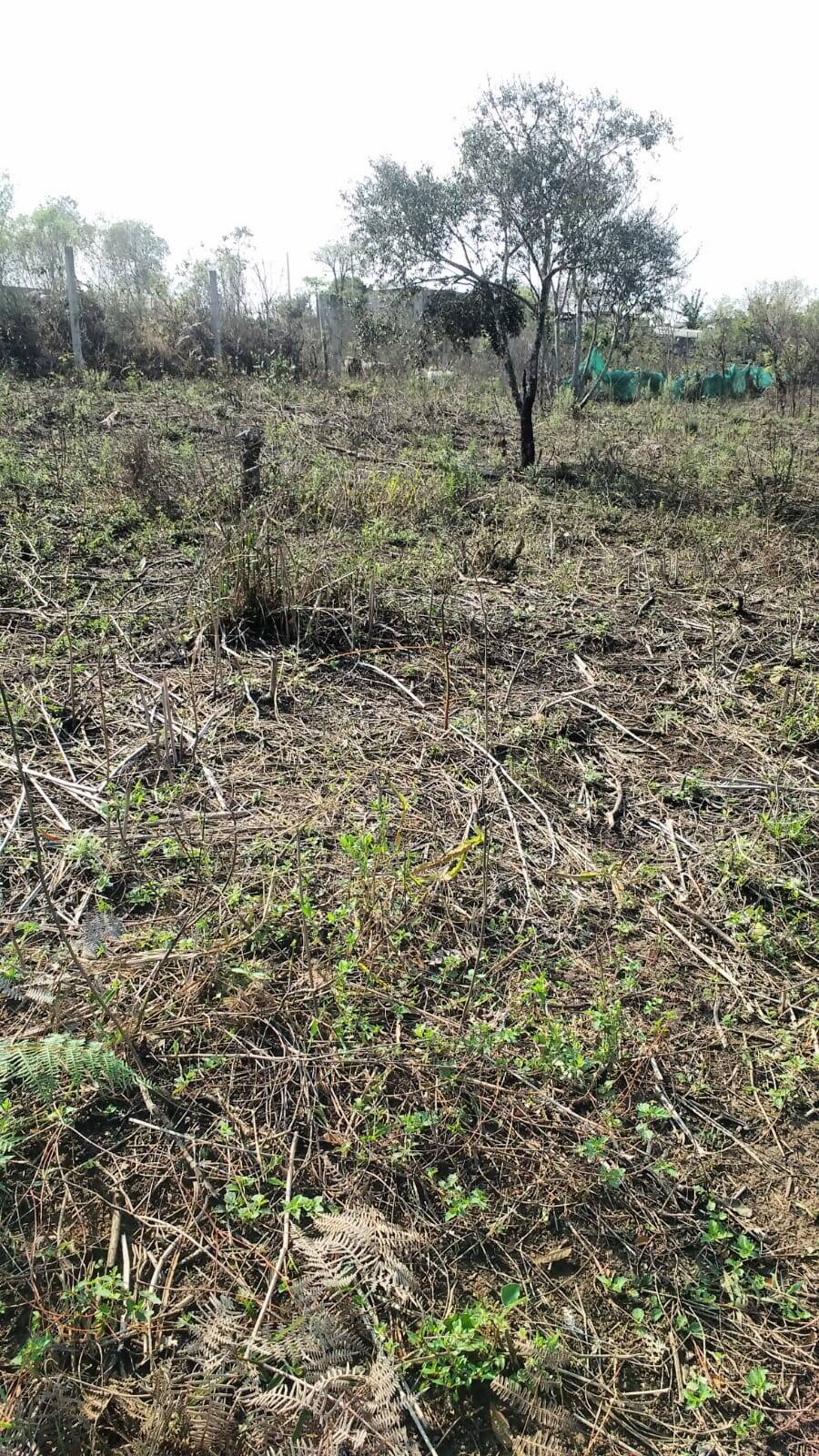 #2166 - Sítio para Venda em Mairiporã - SP