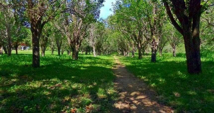 Sítio em Atibaia/São Paulo — Ref R1F7XF — Imagem 15