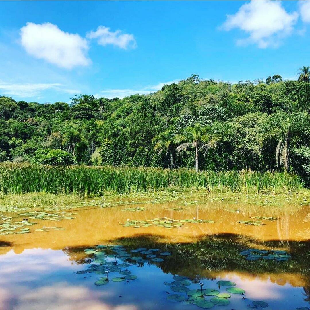 Sítio em Atibaia/São Paulo — Ref R1F7XF — Imagem 18
