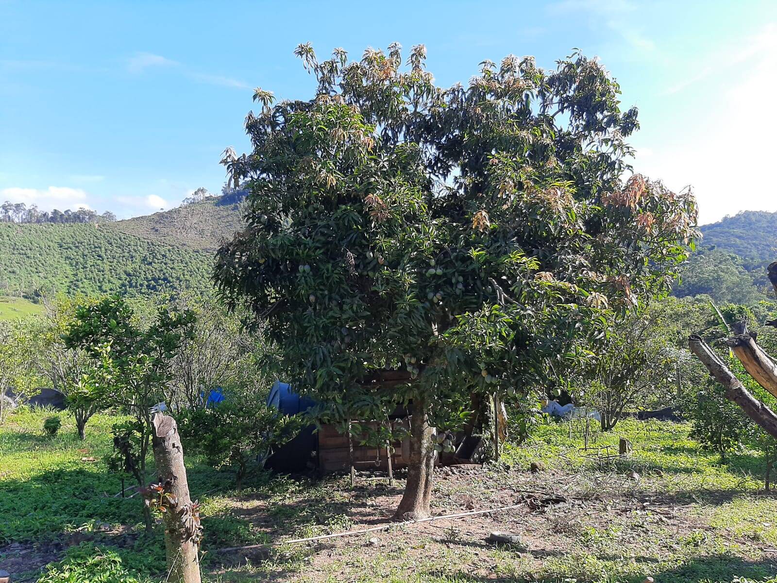 Chácara em Atibaia/São Paulo — Ref 99LXAX — Imagem 7
