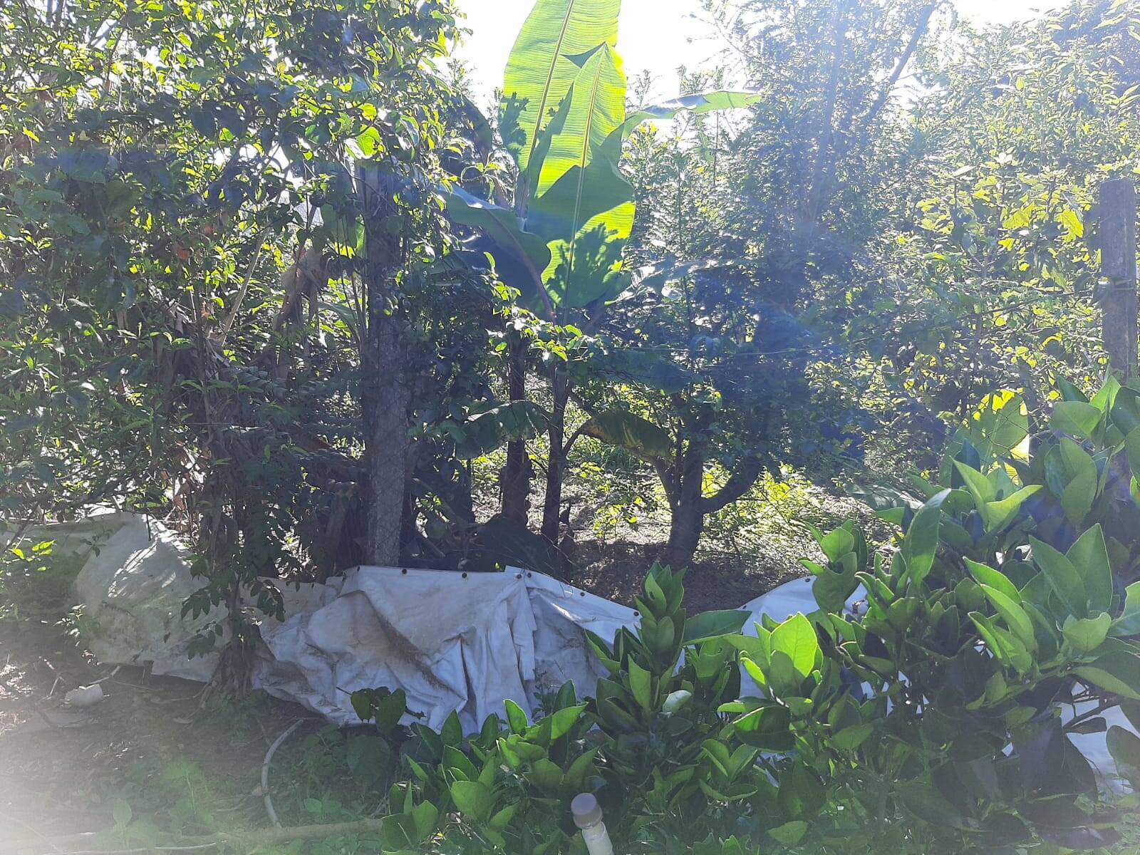 Chácara em Atibaia/São Paulo — Ref 99LXAX — Imagem 10