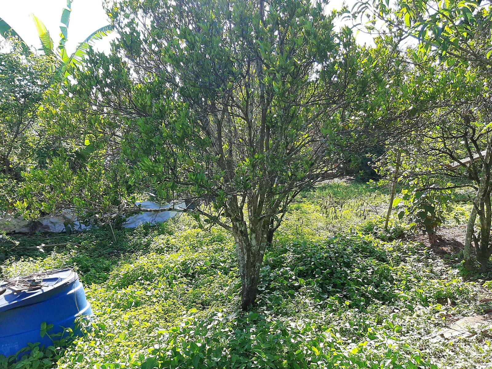 Chácara em Atibaia/São Paulo — Ref 99LXAX — Imagem 9