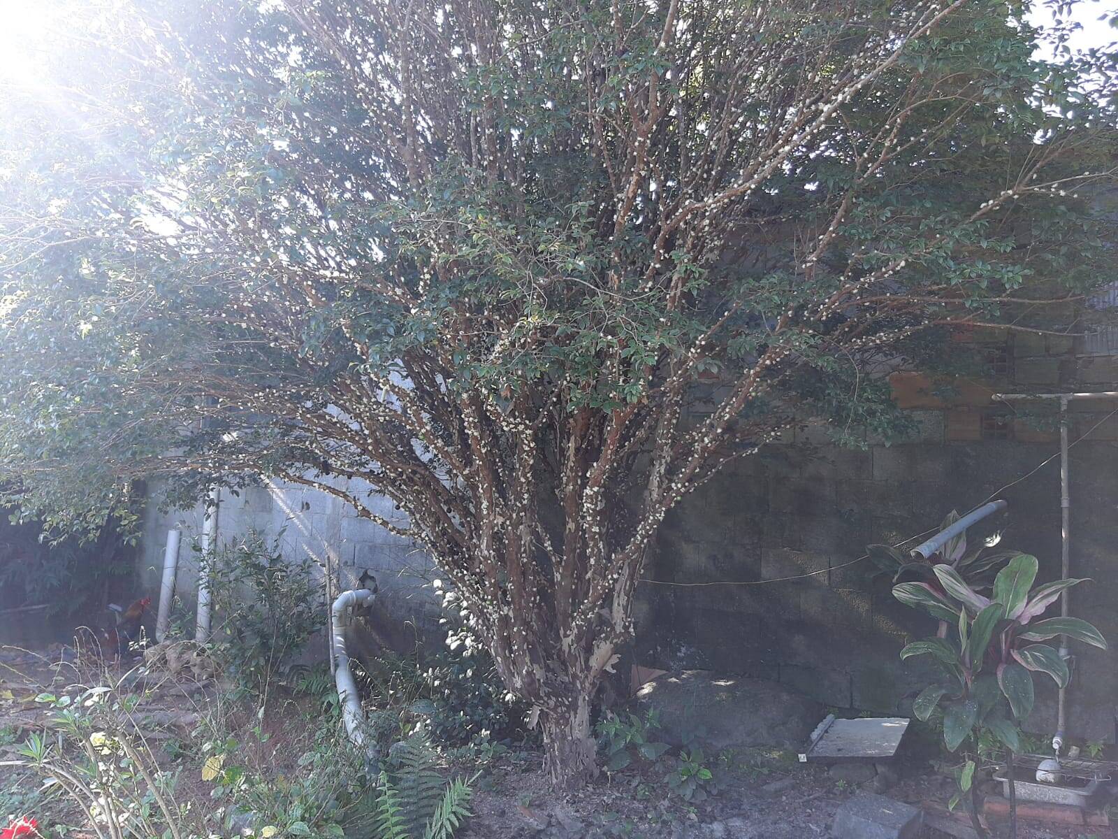 Chácara em Atibaia/São Paulo — Ref 99LXAX — Imagem 14