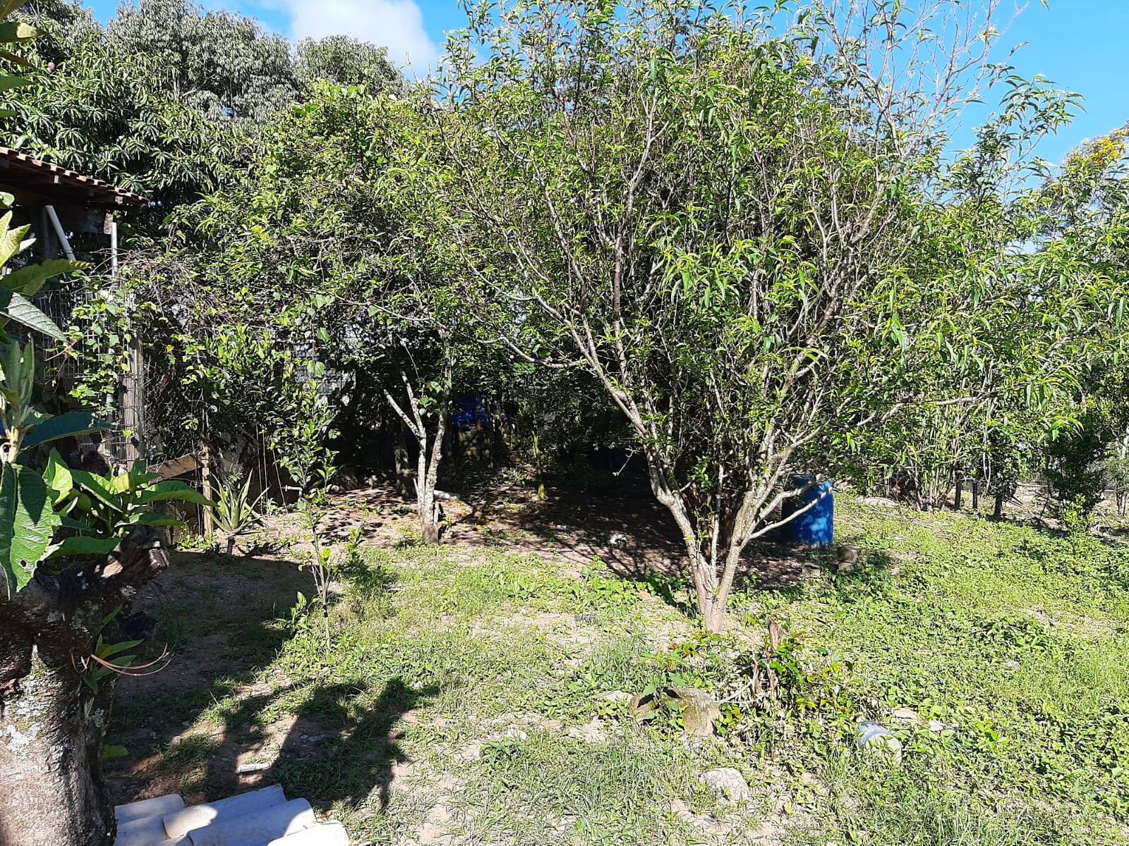 Chácara em Atibaia/São Paulo — Ref 99LXAX — Imagem 15