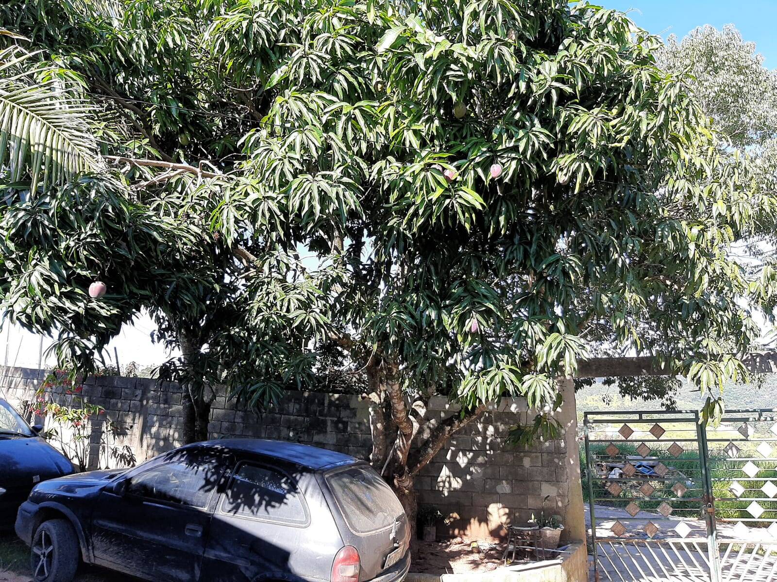 Chácara em Atibaia/São Paulo — Ref 99LXAX — Imagem 20