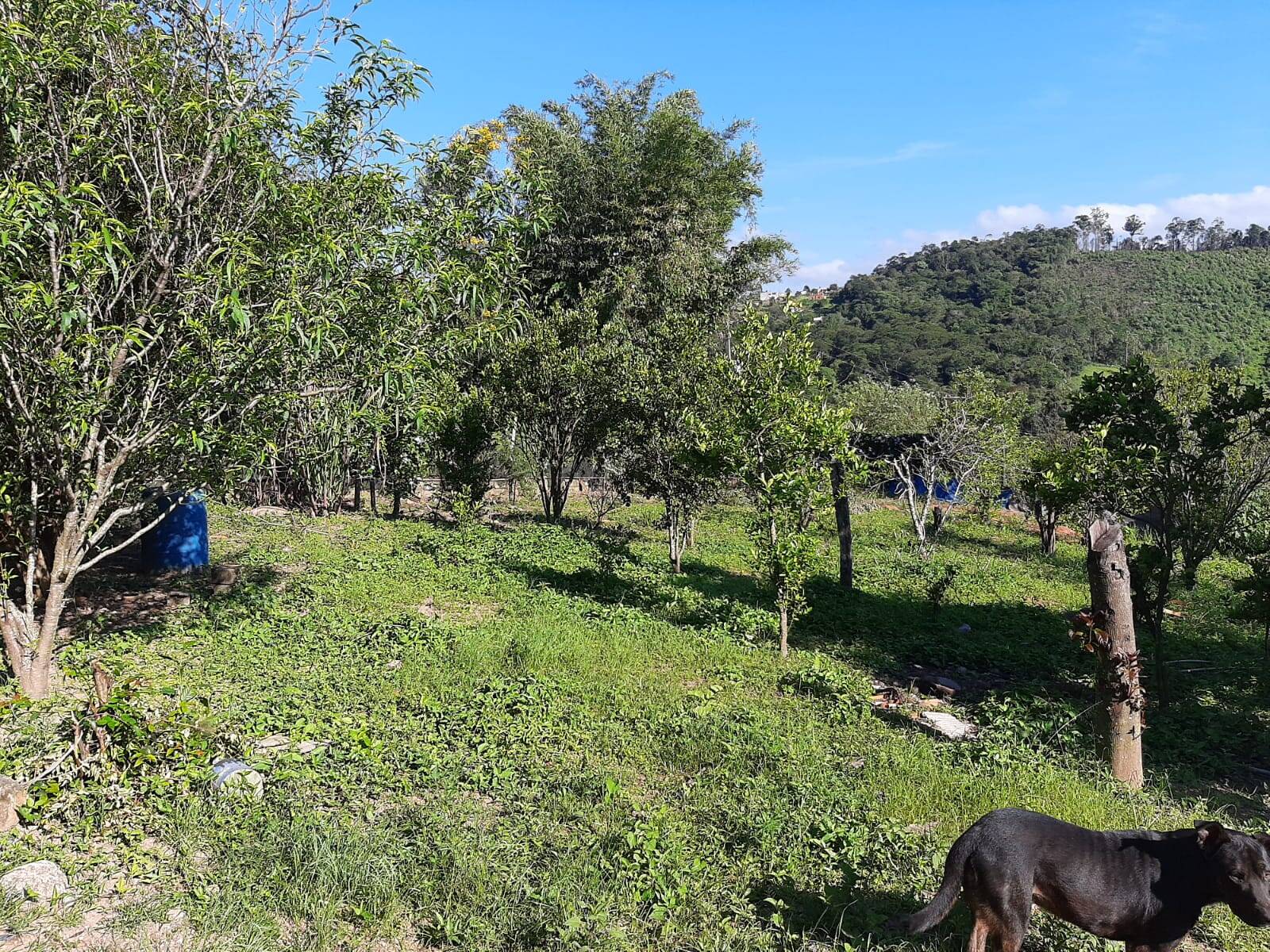 Chácara em Atibaia/São Paulo — Ref 99LXAX — Imagem 22