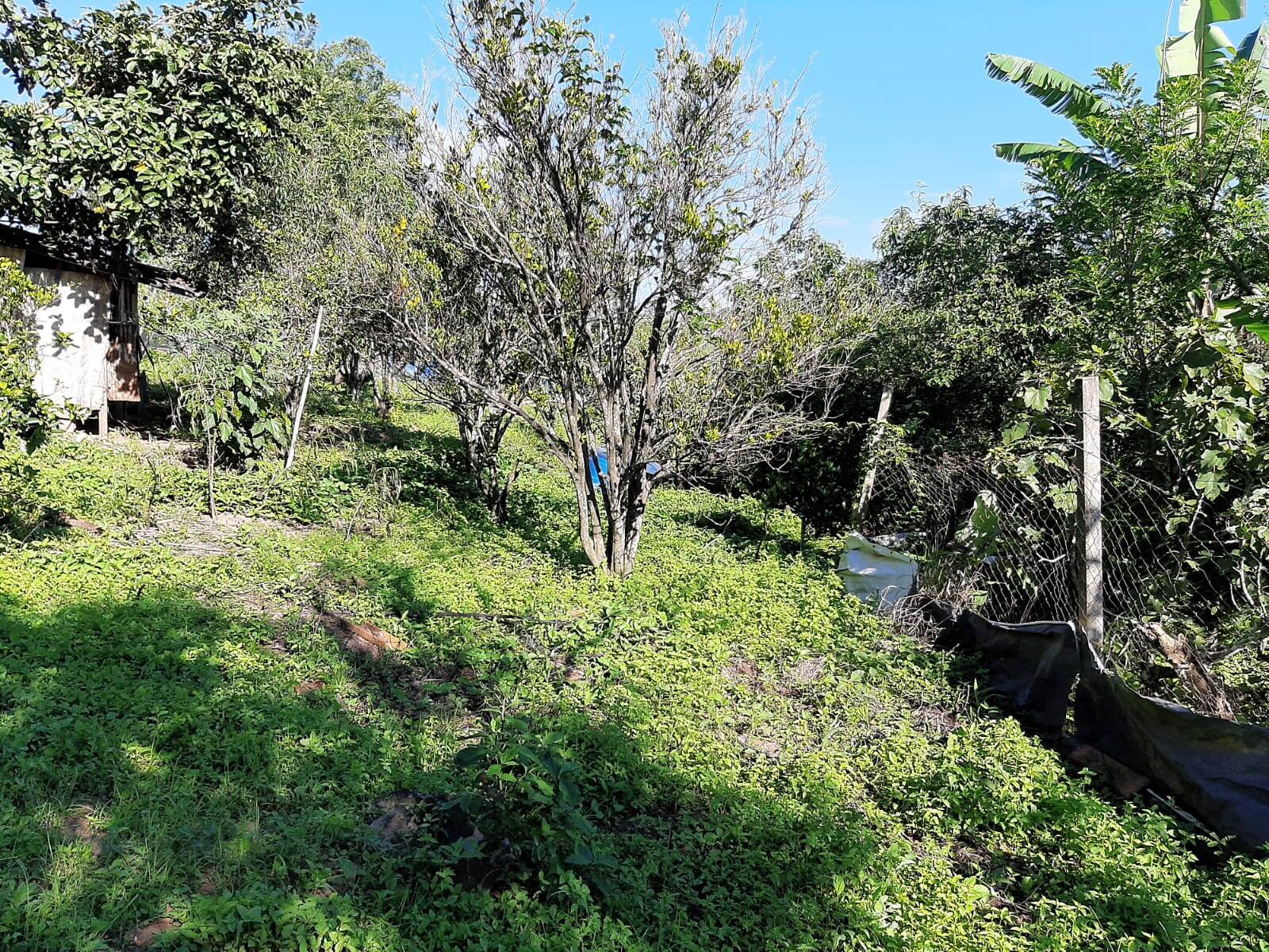 Chácara em Atibaia/São Paulo — Ref 99LXAX — Imagem 23
