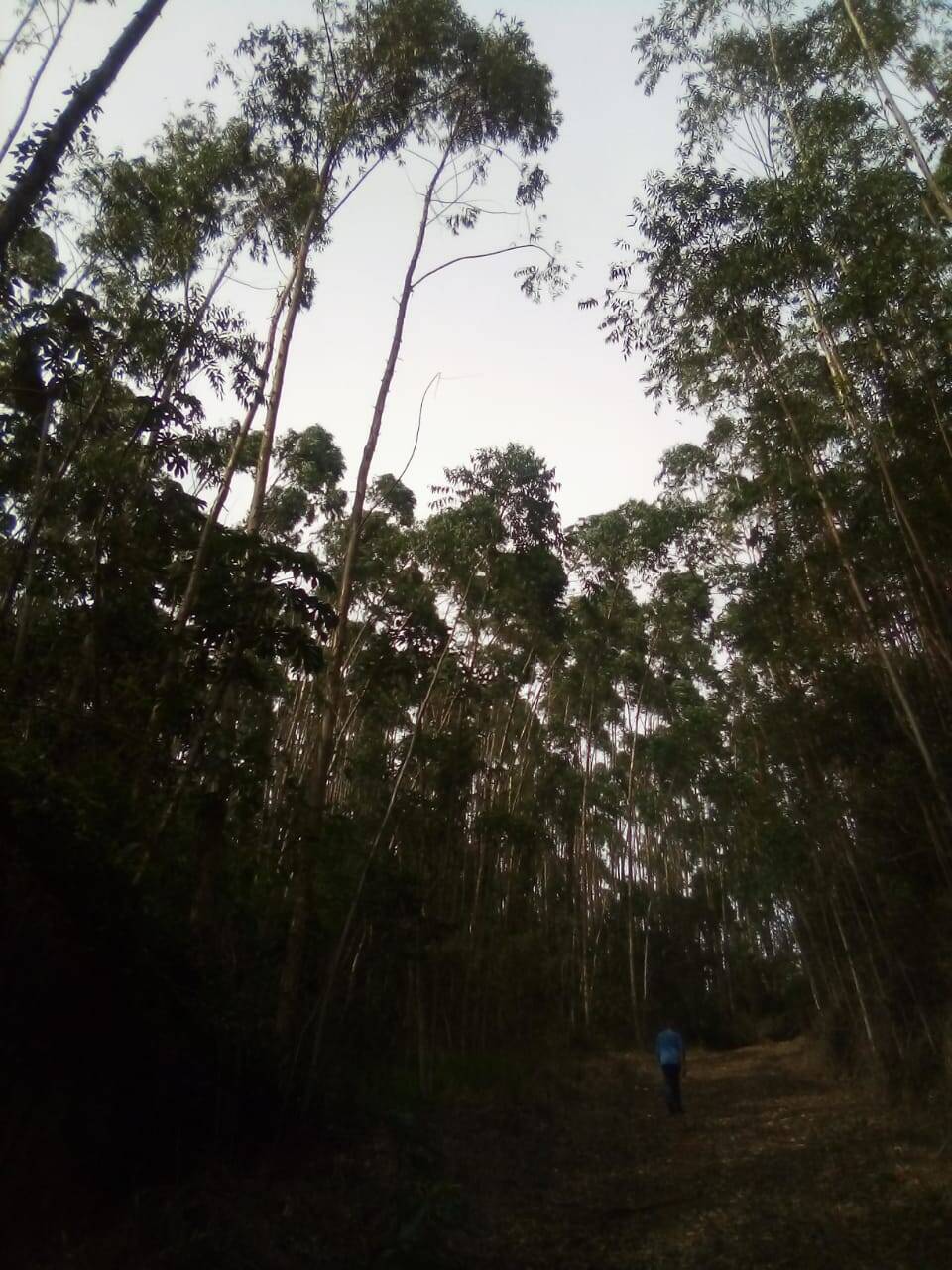 Fazenda em Jacareí/São Paulo — Ref F0ZG69 — Imagem 9