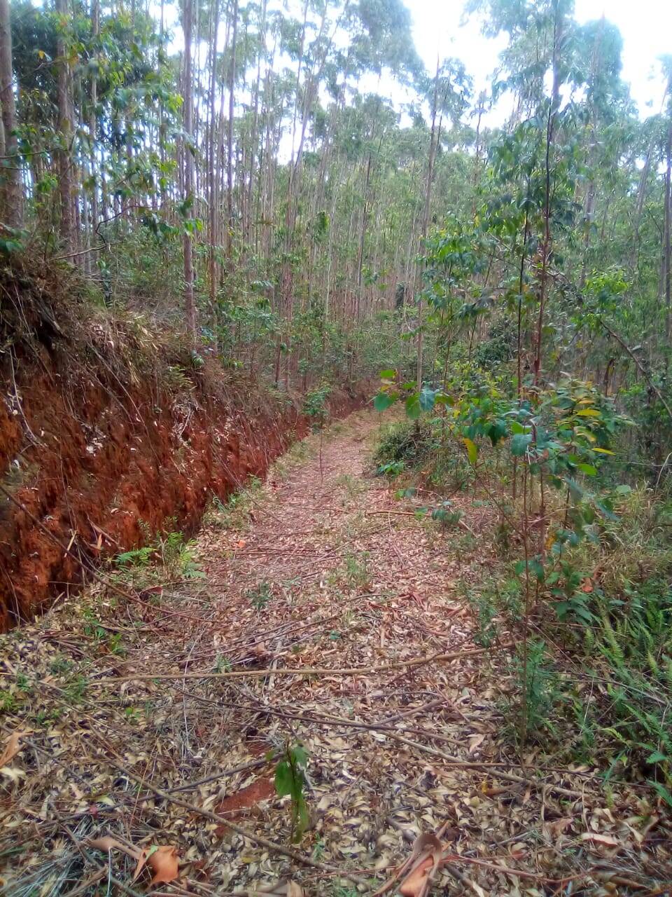 Fazenda em Jacareí/São Paulo — Ref F0ZG69 — Imagem 2