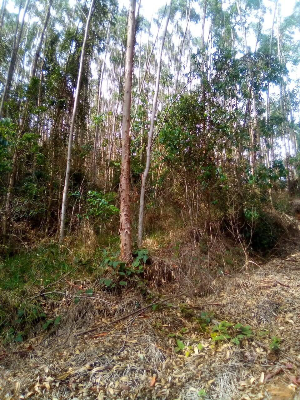 Fazenda em Jacareí/São Paulo — Ref F0ZG69 — Imagem 15