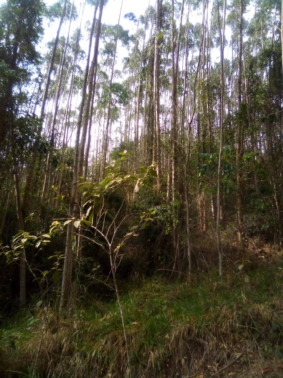 Fazenda em Jacareí/São Paulo — Ref F0ZG69 — Imagem 17